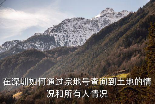 在深圳如何通過宗地號查詢到土地的情況和所有人情況