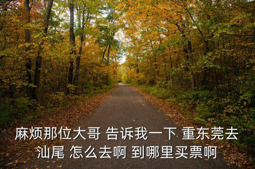 東莞到汕尾自駕游攻略，東莞到汕尾多少公里