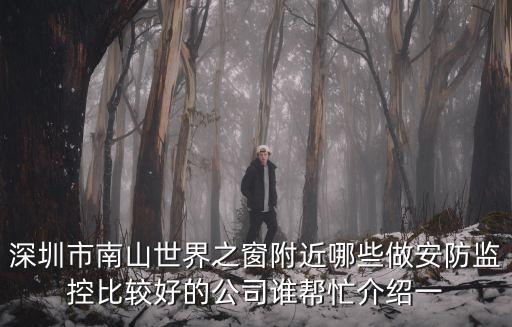 深圳市南山世界之窗附近哪些做安防監控比較好的公司誰幫忙介紹一