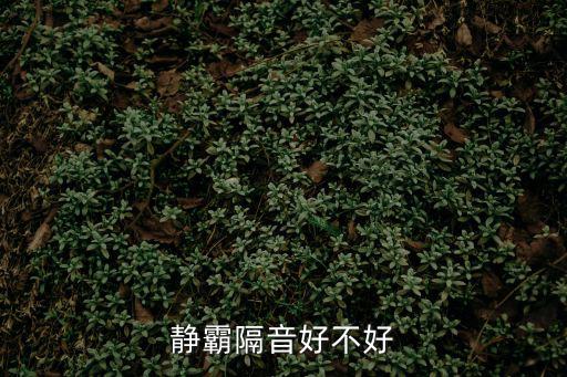 靜霸隔音好不好