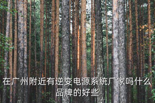 在廣州附近有逆變電源系統廠家嗎什么品牌的好些