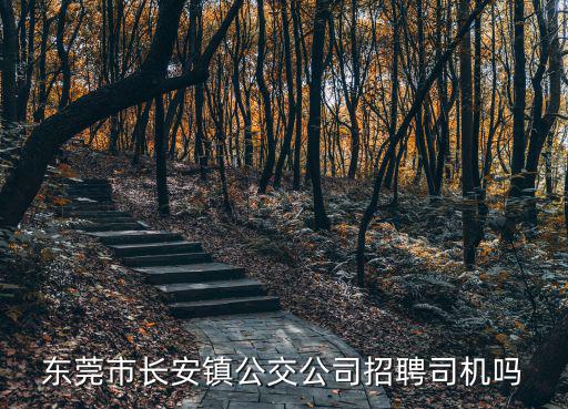 東莞市長(zhǎng)安鎮(zhèn)公交公司招聘司機(jī)嗎