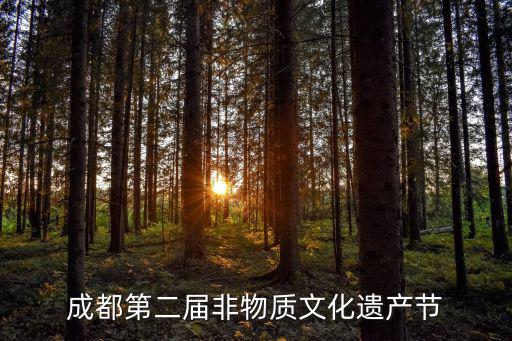成都第二屆非物質(zhì)文化遺產(chǎn)節(jié)