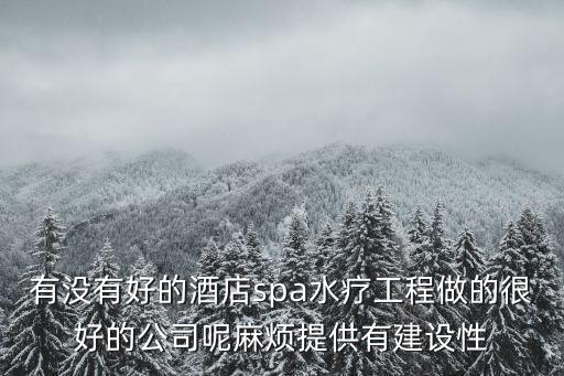 有沒有好的酒店spa水療工程做的很好的公司呢麻煩提供有建設(shè)性
