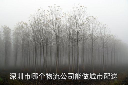 深圳市區配送，深圳市做城市配送做得好的有哪些