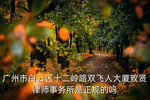 廣州市白云區(qū)十二嶺路雙飛人大廈致賢律師事務(wù)所是正規(guī)的嗎