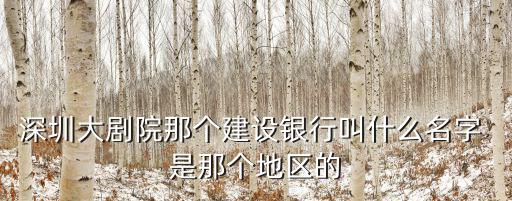 深圳市開博爾，在深圳或香港那可買到開博爾高清機(jī)