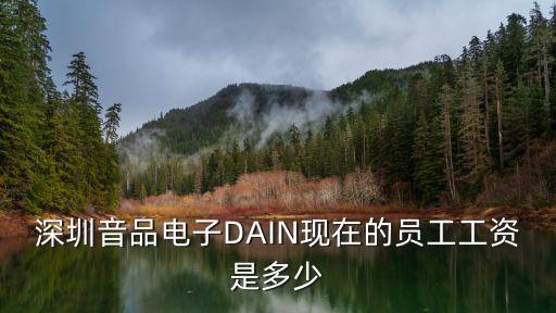 深圳音品電子DAIN現在的員工工資是多少