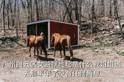 廣州白云區女監獄地址是什么我姐姐送去那半年了沒有任何消息