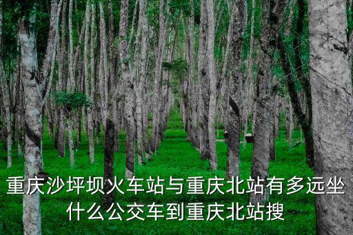 重慶市沙坪壩區去重慶北站，沙坪壩到重慶北站能坐地鐵嗎