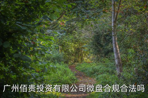 廣州佰貴投資有限公司微盤合規合法嗎