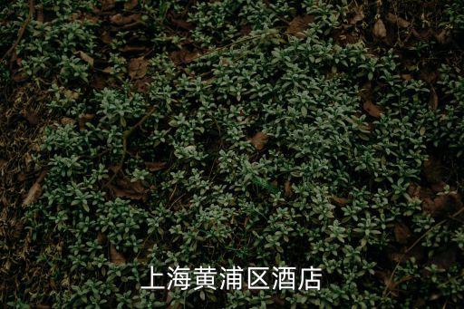 上海黃浦區(qū)酒店