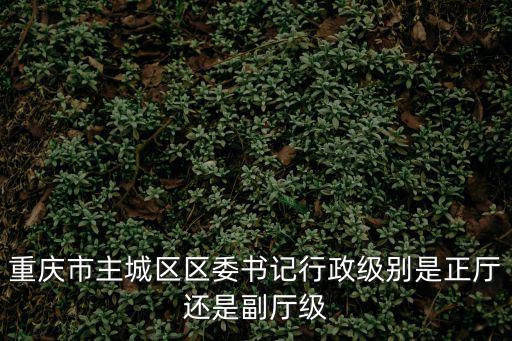 重慶市主城區區委書記行政級別是正廳還是副廳級