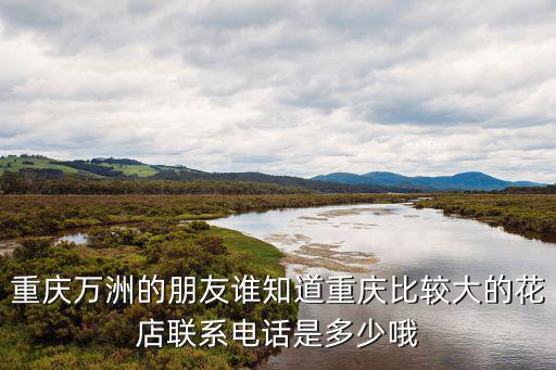 重慶萬洲的朋友誰知道重慶比較大的花店聯(lián)系電話是多少哦