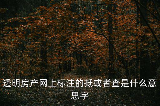 重慶市透明房產網，牡丹江 一房多賣