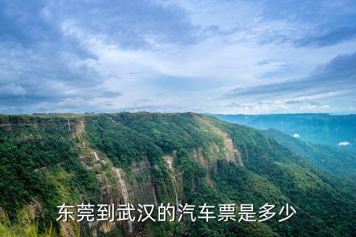 東莞到漢口的汽車票價是多少錢，東莞到武漢的汽車票是多少