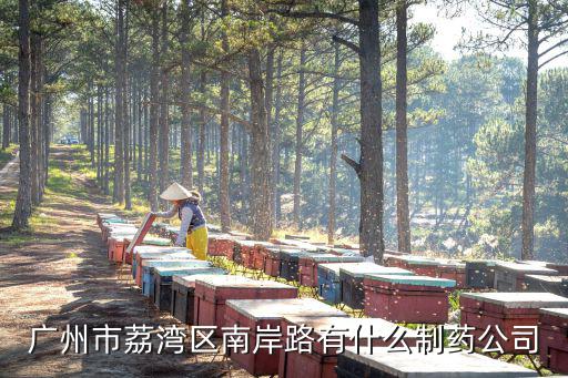 廣州邁特興華制藥有限公司，帕拉米韋氯化鈉哪個廠生產