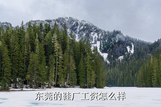 東莞的鞋廠工資怎么樣
