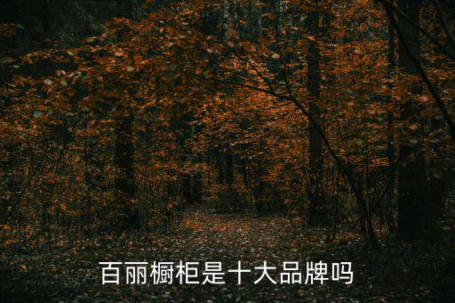 百麗櫥柜是十大品牌嗎