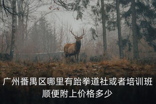 廣州番禺區哪里有跆拳道社或者培訓班順便附上價格多少
