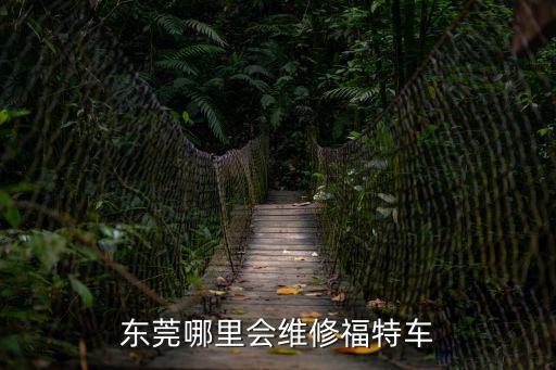 東莞哪里會(huì)維修福特車