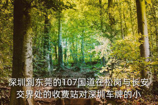 深圳到東莞的107國道在松崗與長安交界處的收費站對深圳車牌的小