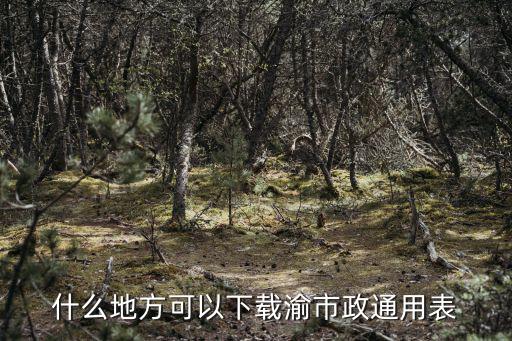 什么地方可以下載渝市政通用表