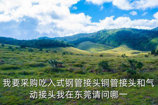 我要采購吃入式鋼管接頭銅管接頭和氣動接頭我在東莞請問哪一