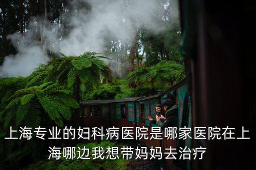 上海專業(yè)的婦科病醫(yī)院是哪家醫(yī)院在上海哪邊我想帶媽媽去治療