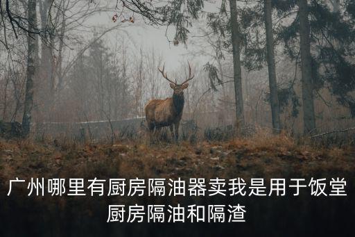 廣州哪里有廚房隔油器賣我是用于飯?zhí)脧N房隔油和隔渣