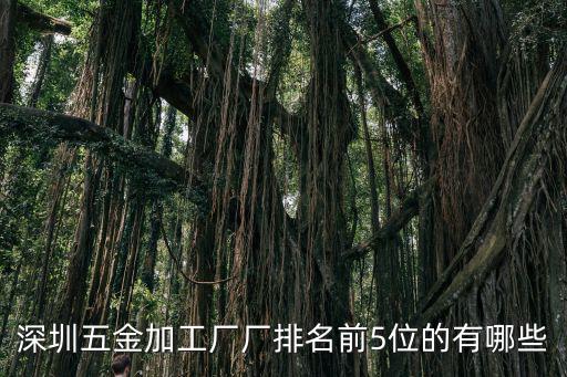 深圳五金加工廠廠排名前5位的有哪些