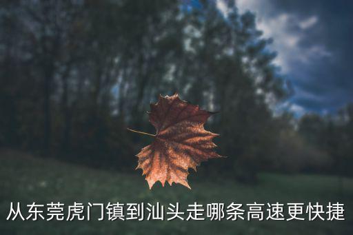從東莞虎門鎮到汕頭走哪條高速更快捷