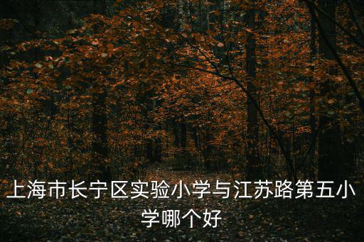 上海市長(zhǎng)寧區(qū)實(shí)驗(yàn)小學(xué)與江蘇路第五小學(xué)哪個(gè)好