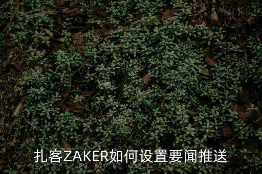 扎客ZAKER如何設置要聞推送