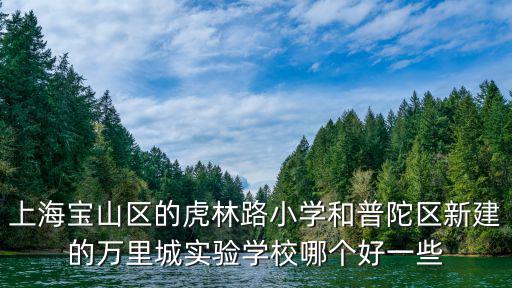 上海寶山區(qū)的虎林路小學(xué)和普陀區(qū)新建的萬里城實驗學(xué)校哪個好一些