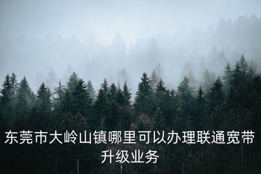 東莞市大嶺山鎮哪里可以辦理聯通寬帶升級業務