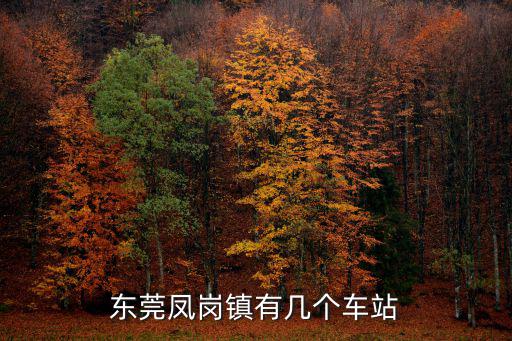 東莞鳳崗鎮有幾個車站