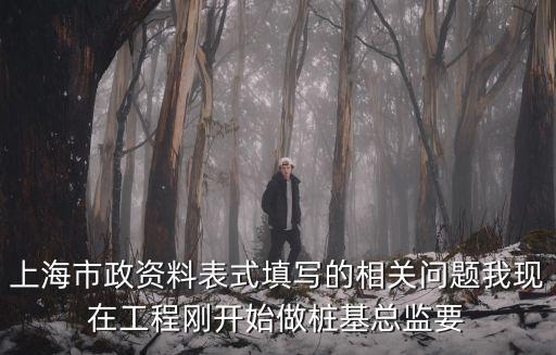 上海市政資料表式填寫的相關問題我現在工程剛開始做樁基總監要
