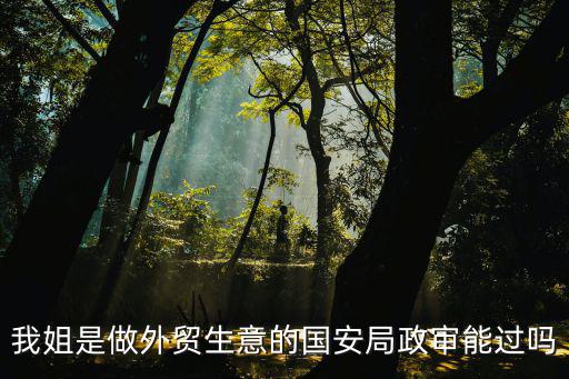 我姐是做外貿生意的國安局政審能過嗎