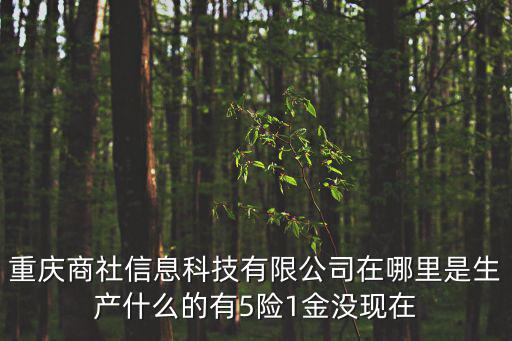 重慶商社信息科技有限公司在哪里是生產什么的有5險1金沒現在