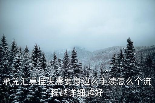 承兌匯票掛失需要身邊么手續怎么個流程越詳細越好
