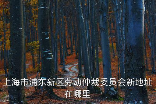 上海市浦東新區勞動仲裁委員會新地址在哪里