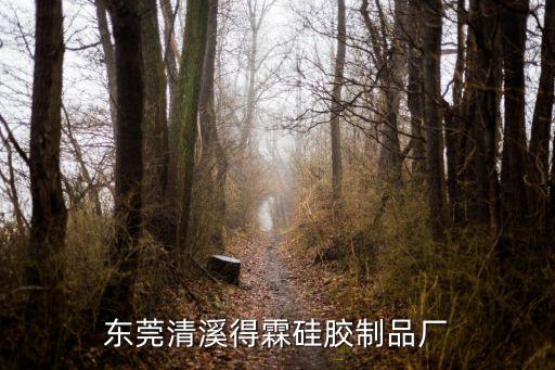 東莞清溪得霖硅膠制品廠