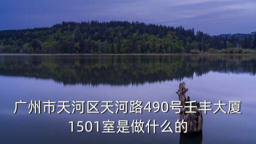 廣州市天河區(qū)天河路490號(hào)壬豐大廈1501室是做什么的