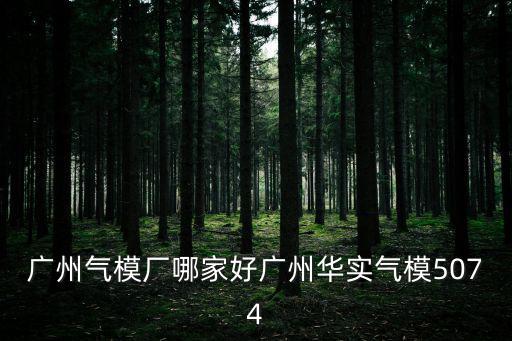 廣州氣模廠哪家好廣州華實氣模5074