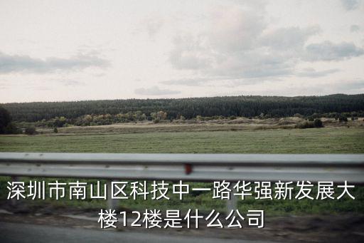 深圳市飛燕妮科技有限公司，深圳市南山區科技中一路華強新發展大樓12樓是什么公司