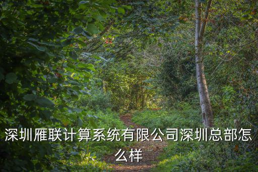 深圳雁聯計算系統有限公司深圳總部怎么樣