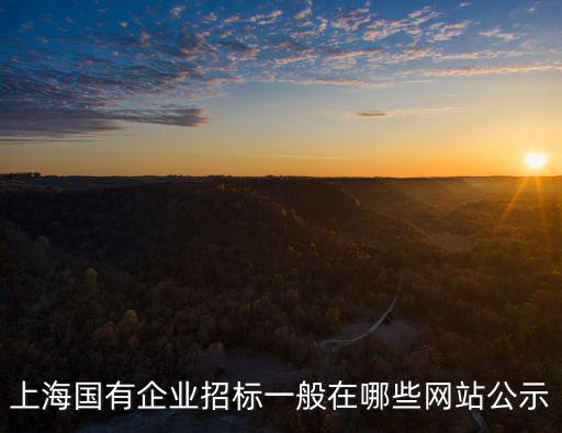 上海國有企業招標一般在哪些網站公示