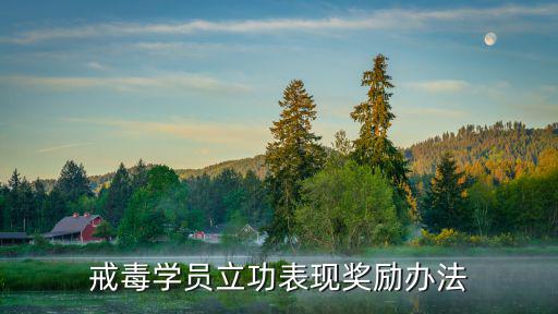 成都市禁毒獎勵辦法最新，長春舉報吸毒有獎勵嗎是匿名的嗎怎么獎勵