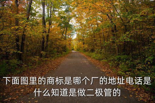 廣州市京鏵電子科技有限公司，廣州市天河區建中路5號海天樓12011202是什么公司